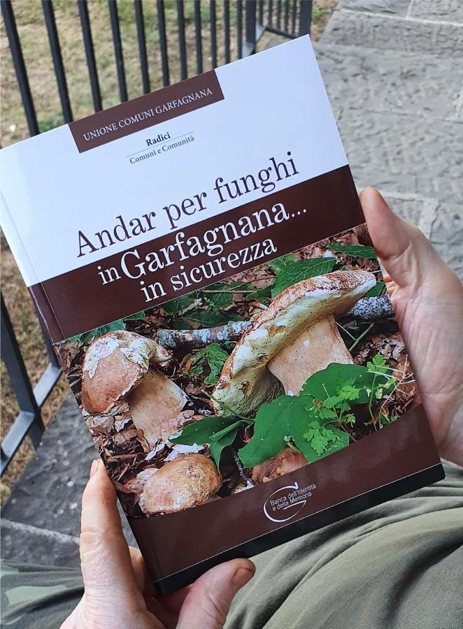 Alpeggio Pruno Villa Corfino Eksteriør billede